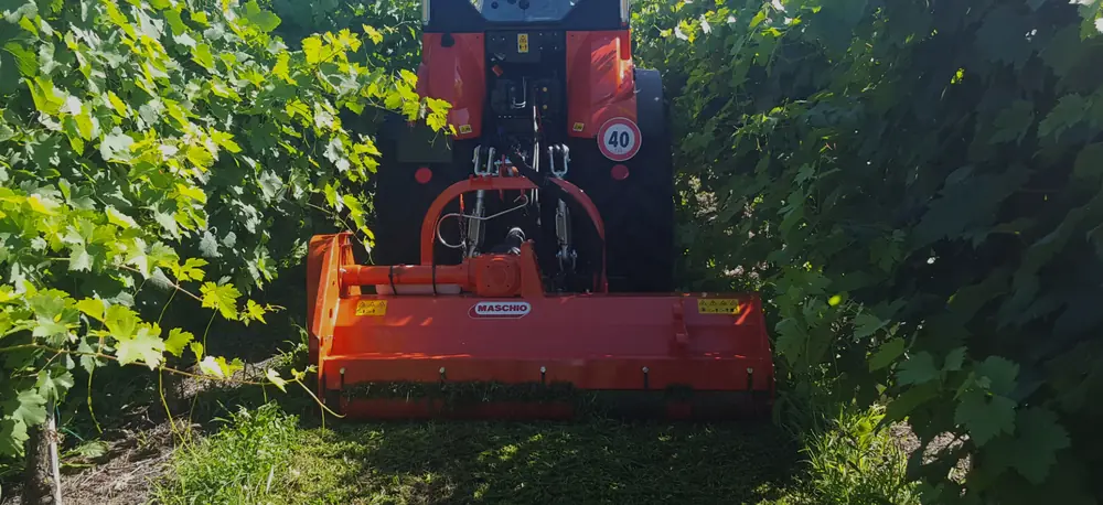 Maschio Furba 140 thumbnail 2