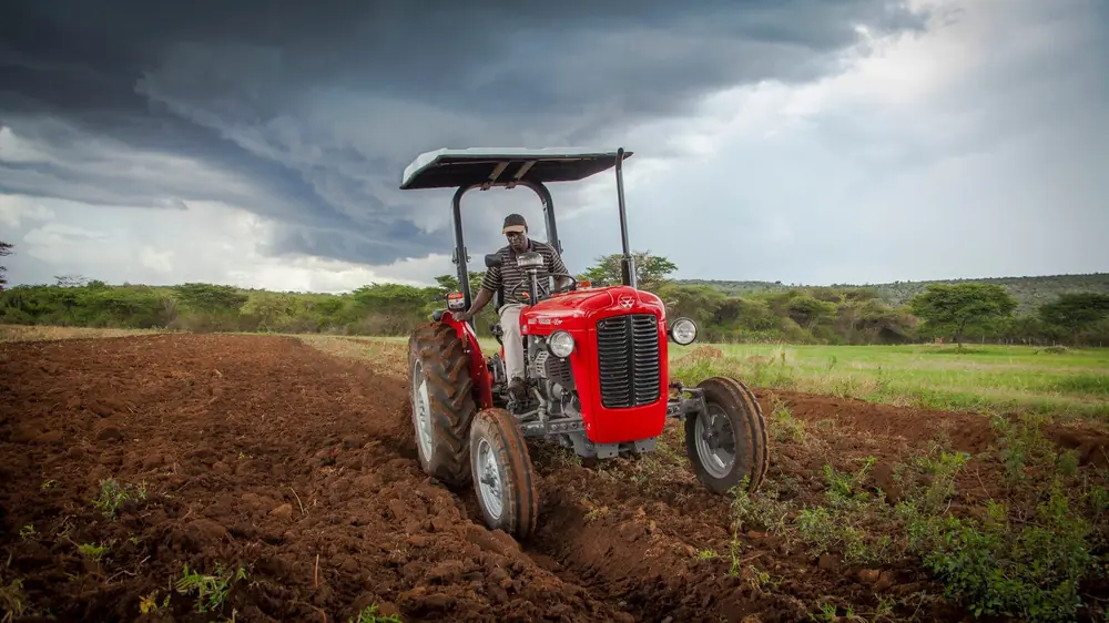 Massey Ferguson MF 35 thumbnail 2