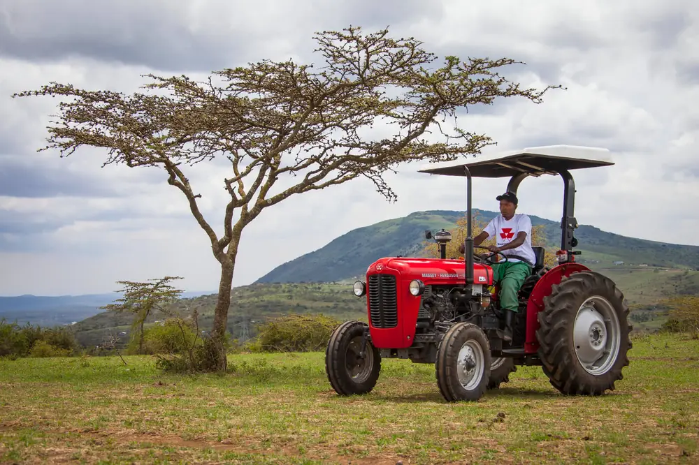 Massey Ferguson MF 35 thumbnail 3