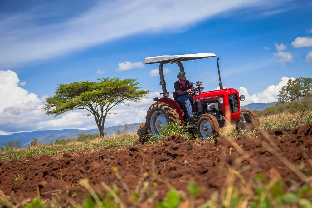 Massey Ferguson MF 35 thumbnail 4