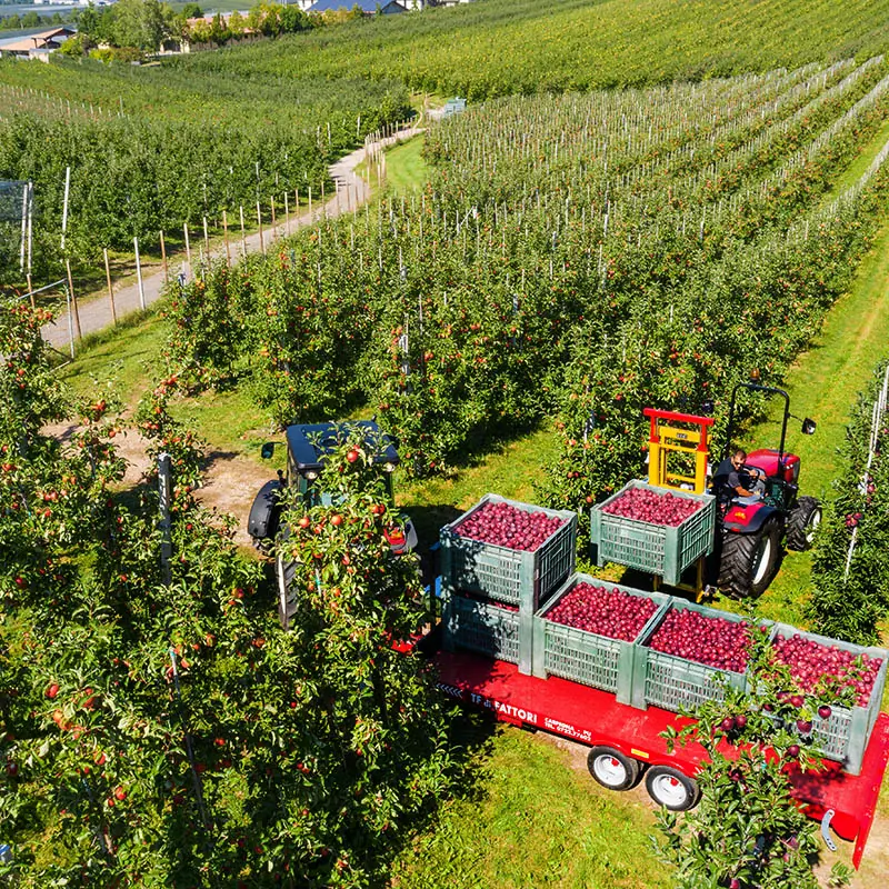 Valtra F95S thumbnail 3