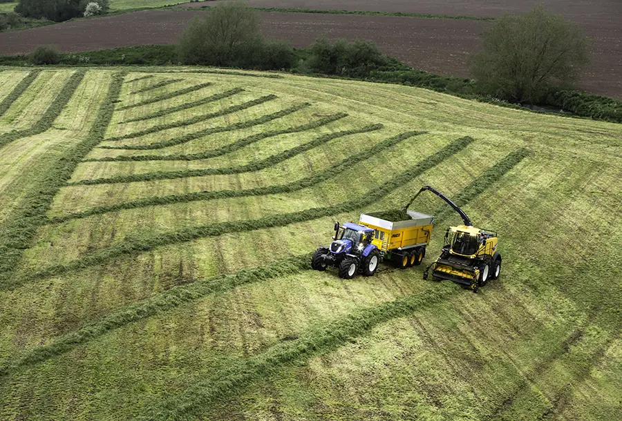 New Holland FR 920 thumbnail 7