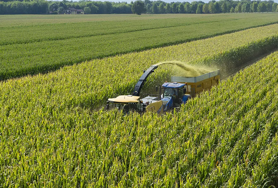 New Holland FR 920