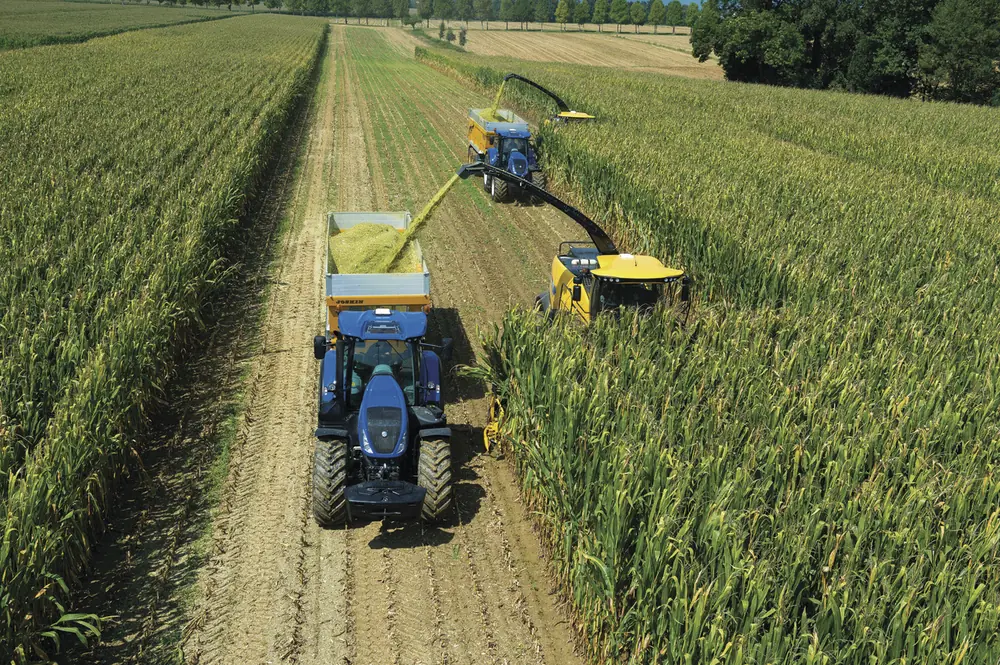 New Holland FR 780 thumbnail 2