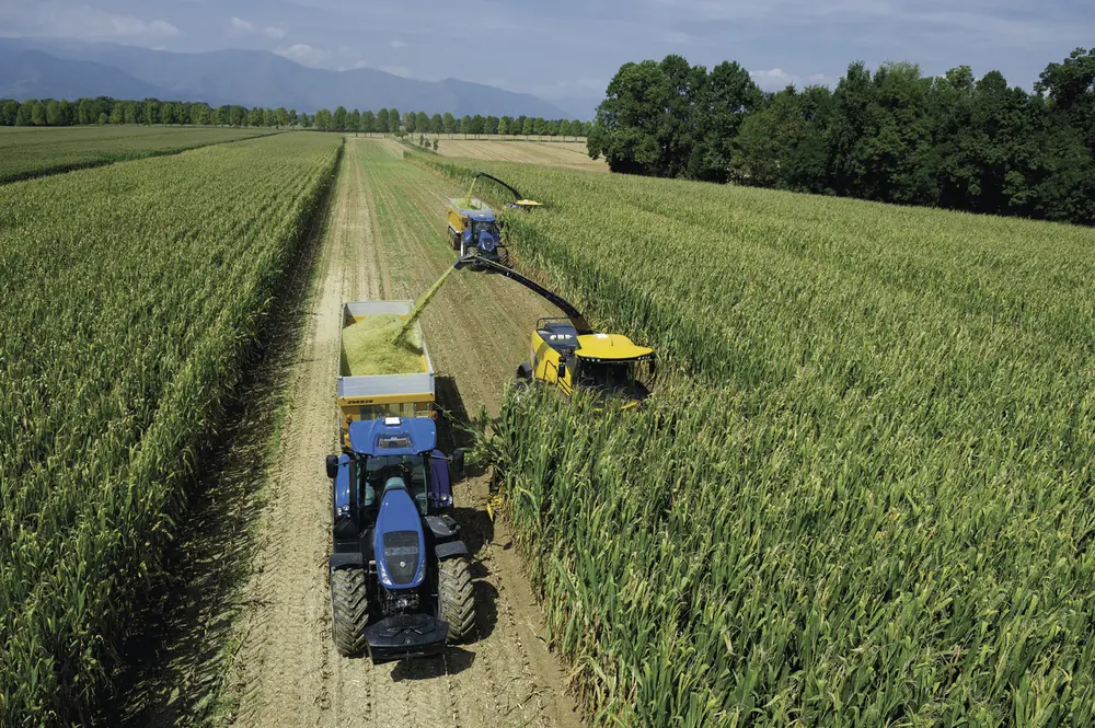New Holland FR 780 thumbnail 12