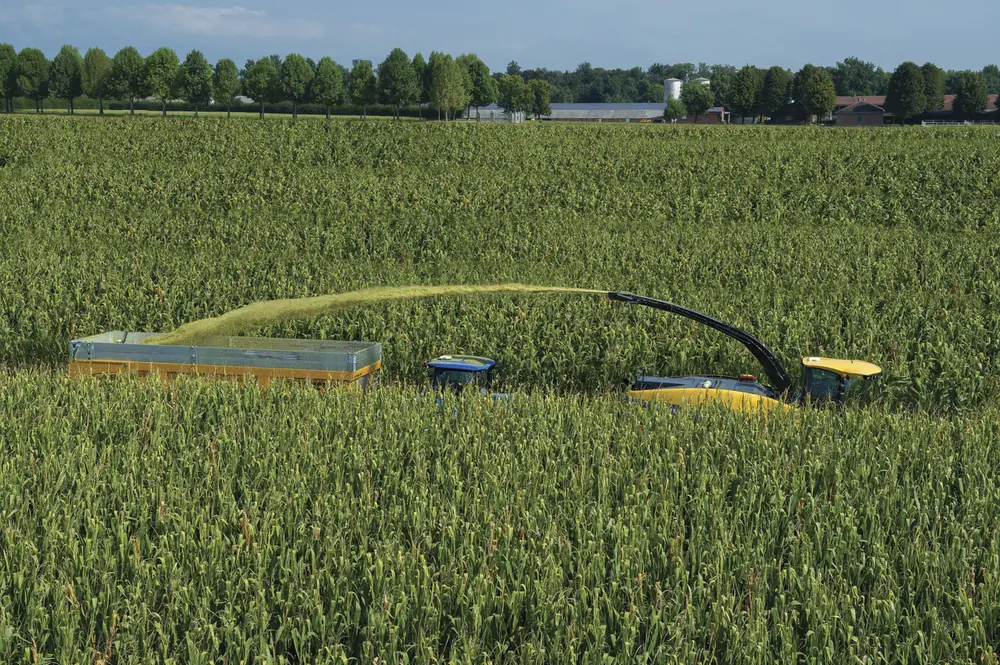 New Holland FR 780 thumbnail 15