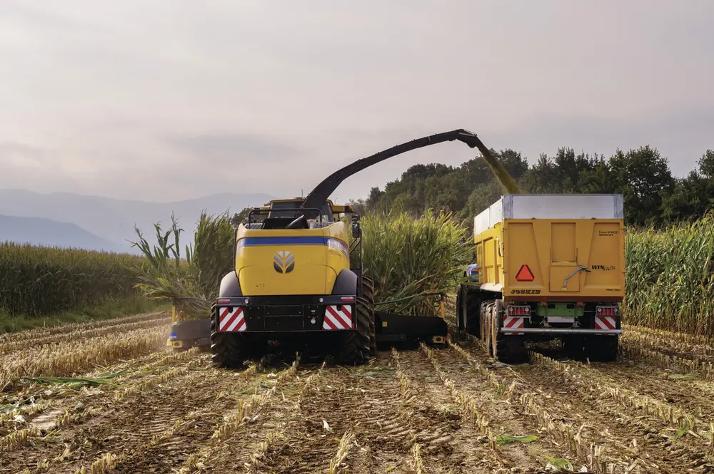 New Holland FR 780 thumbnail 16