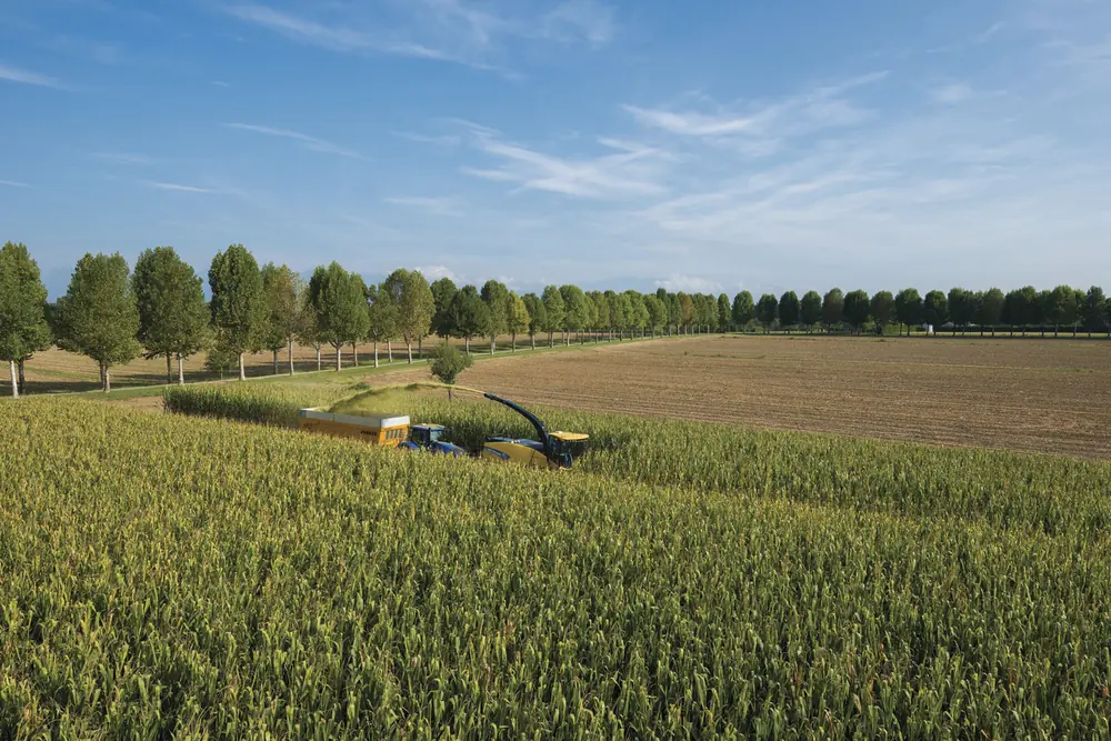 New Holland FR 780 thumbnail 4