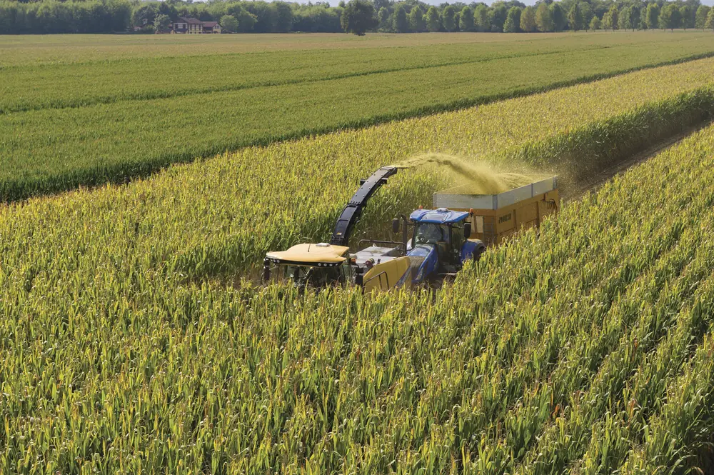 New Holland FR 780 thumbnail 8