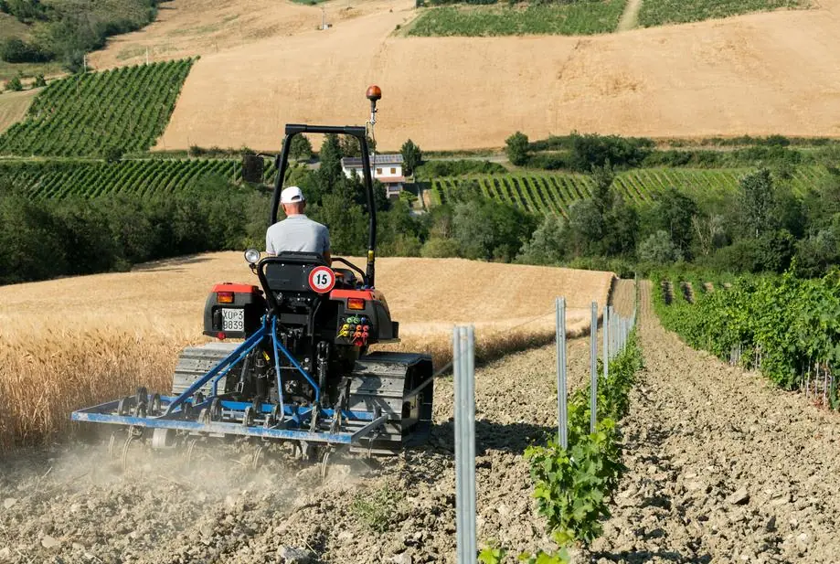 DEUTZ-FAHR C 7206 TS Farmline Extra Power thumbnail 4
