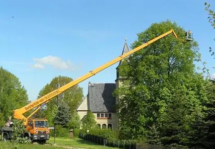 Palfinger WT 350