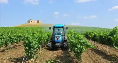 Landini Rex DT 4-100F thumbnail 3