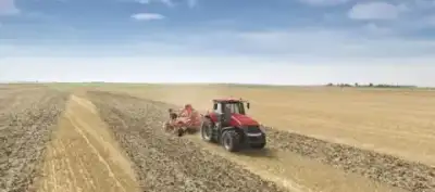 Case IH Magnum 280 CVX Basis