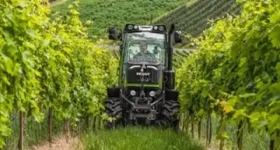 Fendt 208 V Vario Power thumbnail 3