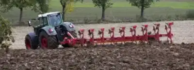 Maschio Mirco 8+1 STD thumbnail 3