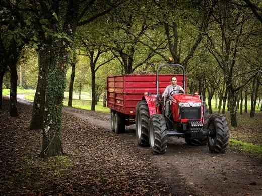 Massey Ferguson MF 3645 A thumbnail 3