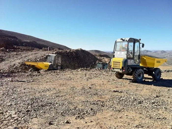 Wacker Neuson 3001