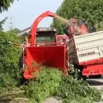 Eschlböck Biber 3 thumbnail 7