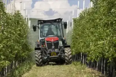 Massey Ferguson MF 3FR.115