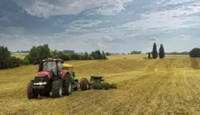 Case IH Magnum 250 Profi 2 thumbnail 4