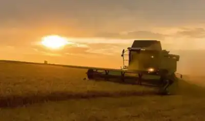 Fendt 5255 L MCS Rice thumbnail 4