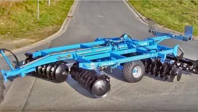 Rabe Falke TLS 36-C