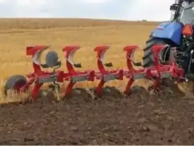 Unia Ibis XXL 5 Corn
