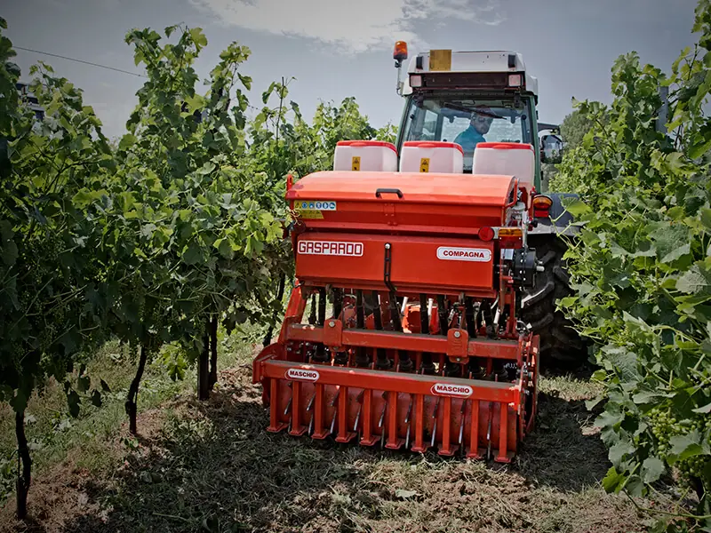 Gaspardo Compagna Delfino 1300