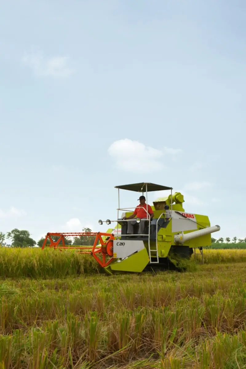 Claas Crop Tiger 30 Terra Trac