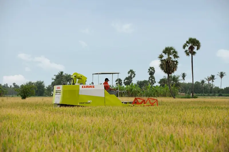 Claas Crop Tiger 30 Terra Trac thumbnail 5
