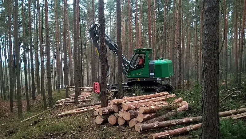 Neuson Forest 104HVT thumbnail 2