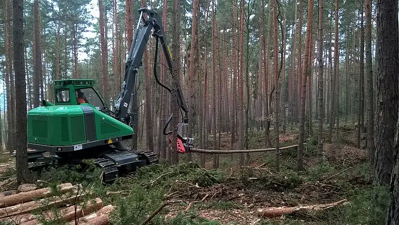 Neuson Forest 104HVT thumbnail 5