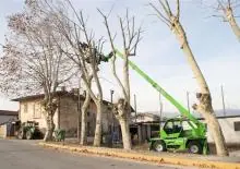 Bobcat Merlo Rotating Telehandlers thumbnail 7
