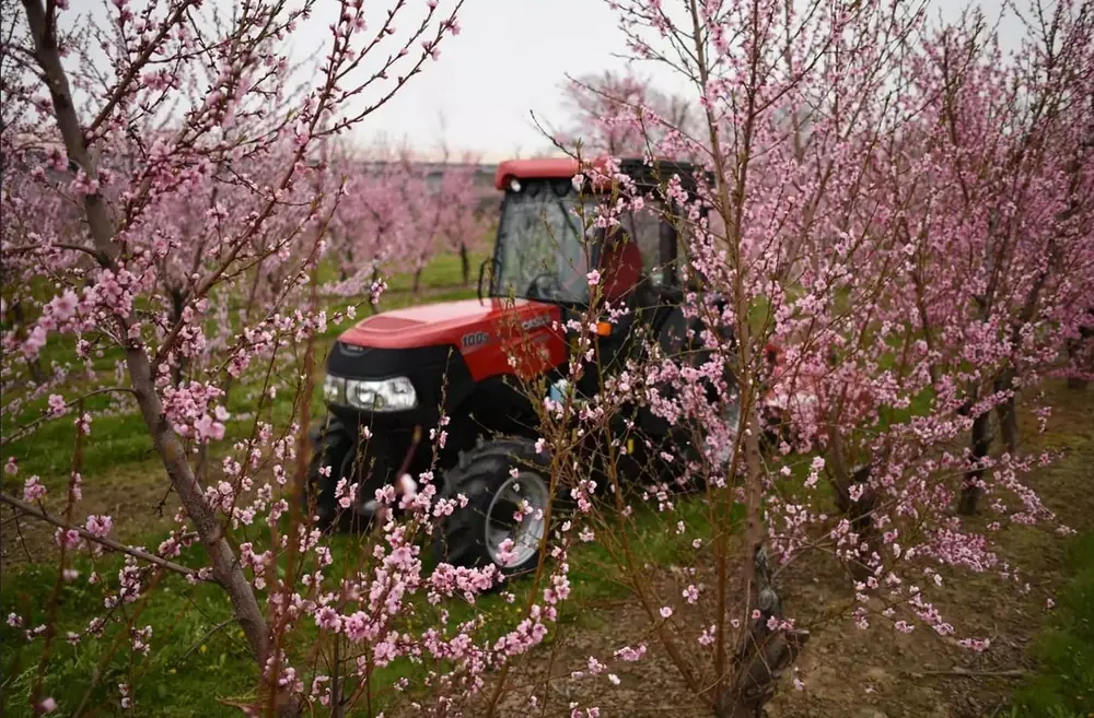 Case IH Farmall 100N
