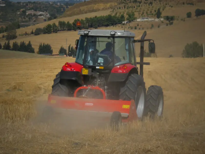 Maschio Chiara 230 F thumbnail 3