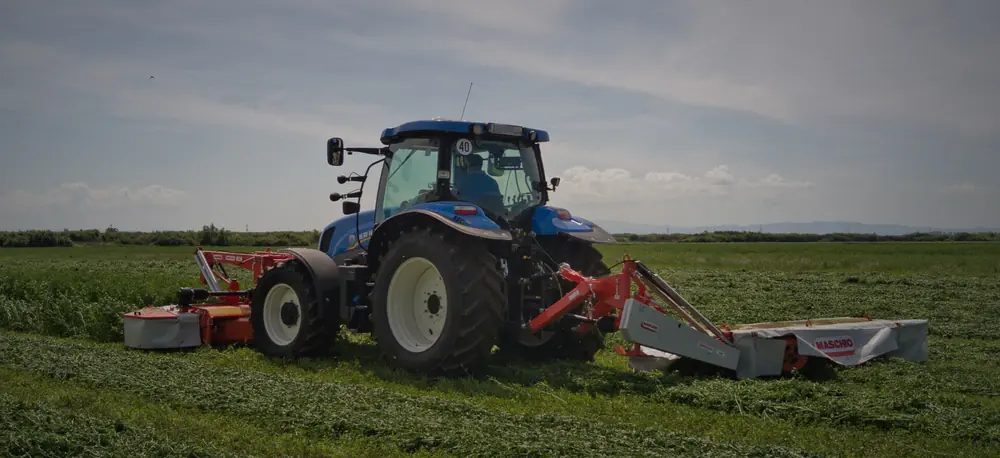Maschio Debora Pro F 300 GM thumbnail 2