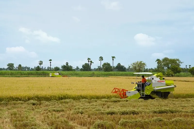 Claas Crop Tiger 40 Terra Trac thumbnail 5