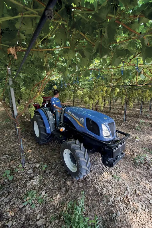 New Holland T3.75 F thumbnail 3
