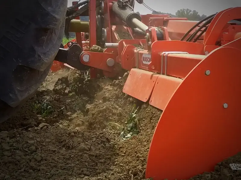 Maschio Pantera L 370 thumbnail 2