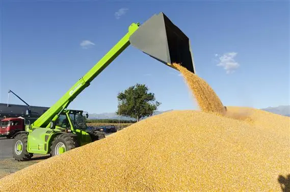 Merlo Panoramic P 55.9 CS thumbnail 8