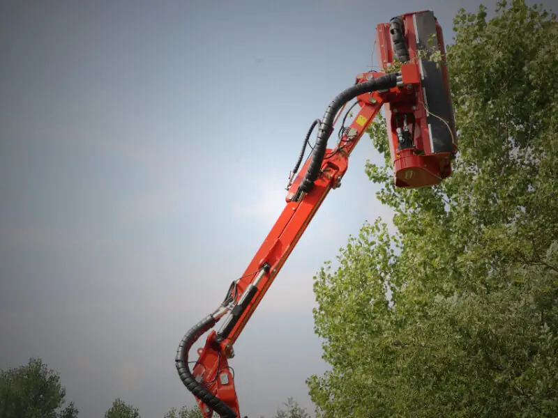 Maschio Katia 550 thumbnail 4