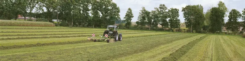 Krone Swadro 46 T thumbnail 4