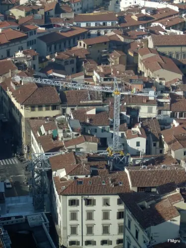 FM-Gru 2675 TLX P16 thumbnail 19