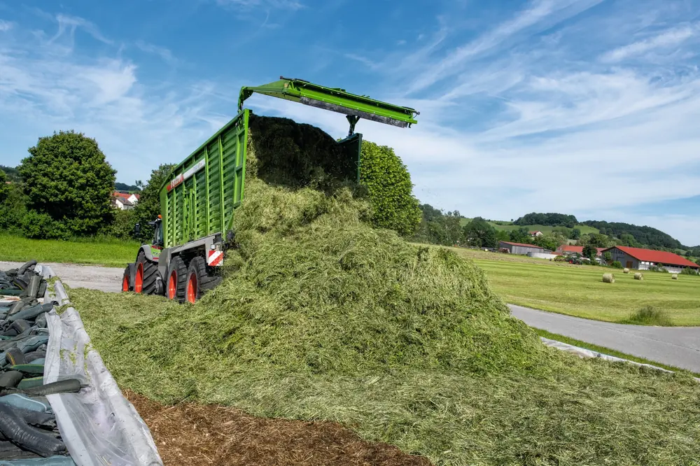Fendt Tigo 65 VR