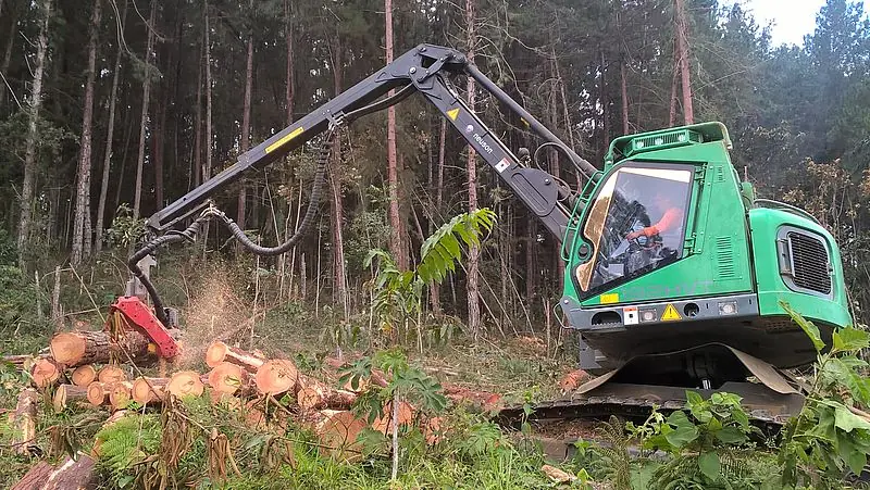 Neuson Forest 183HVT thumbnail 4
