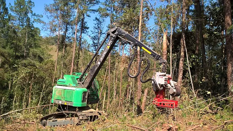 Neuson Forest 183HVT thumbnail 5