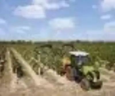 Claas Nexos 240 F