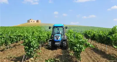 Landini Rex DT 4-100V thumbnail 3
