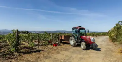 McCormick X4.80V