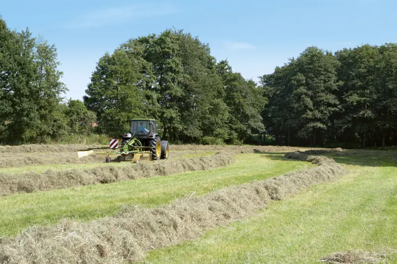 Krone Swadro 42 thumbnail 3